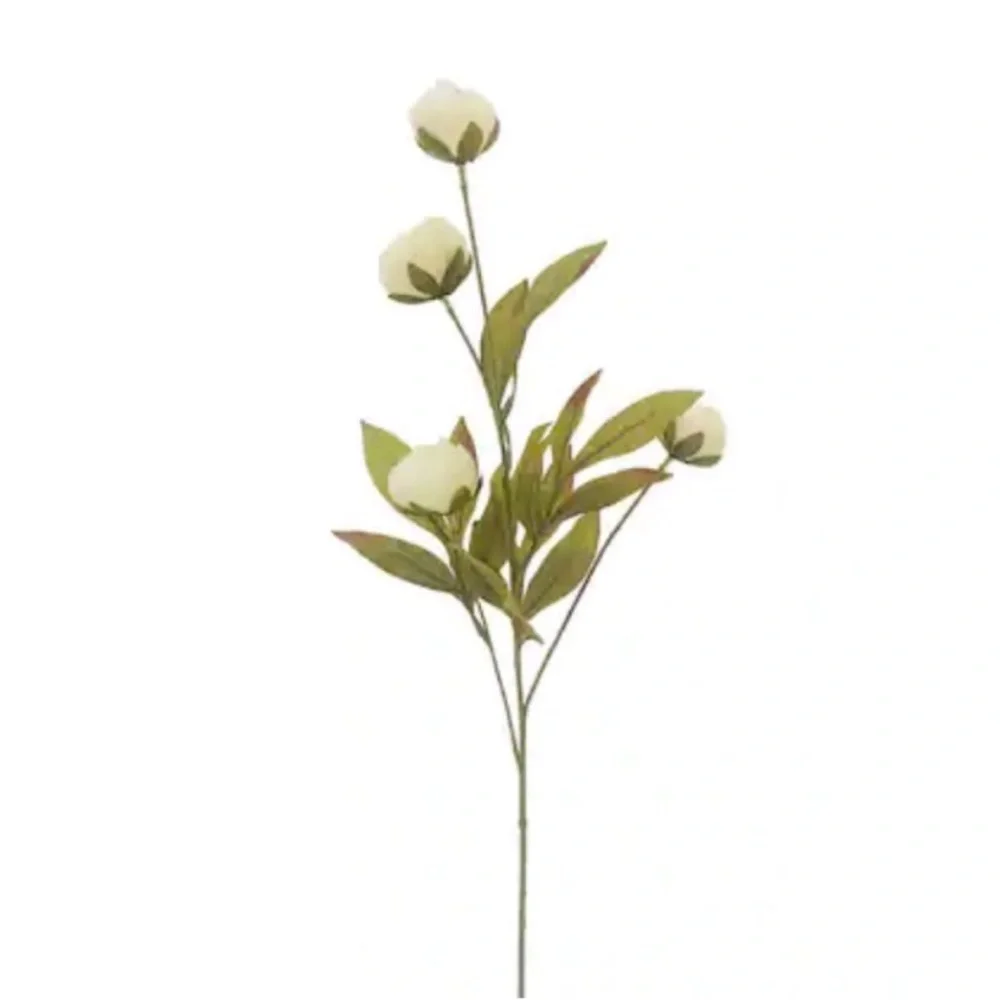 8/ NEW / Pack of 8 Cream Peony Stems by Ashland